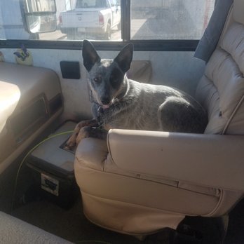 Sonoran Desert RV Park - my wild and crazy co-pilot. - RV Parks Near Me - Gila Bend, Arizona