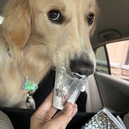 Pup Cup