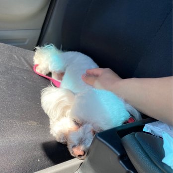 Pooch Pawlor Spa - Small Groom - Pet Groomers Near Me - Glendale, California Pooch Pawlor Spa - Small Groom - Pet Groomers Near Me - Glendale, California