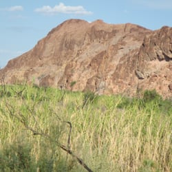 Picacho State Recreation Area - Dry desert environment versus wet river environment