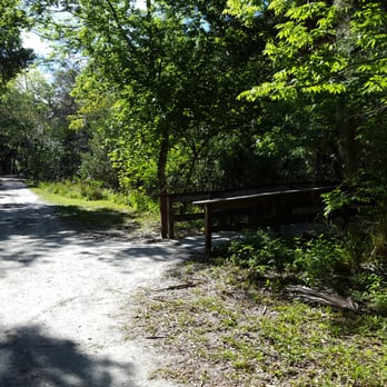 Hammock State Park - Trail connects Dunedin Community Center and the Highlander Pool/Aquatic Park to the Pinellas Trail via Hammock Park! - Hiking Near Me - Dunedin, Florida