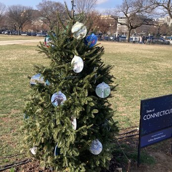 National Christmas Tree - Go CT Go!! - Local Flavor Near Me - Washington, DC, District of Columbia National Christmas Tree - Go CT Go!! - Local Flavor Near Me - Washington, DC, District of Columbia