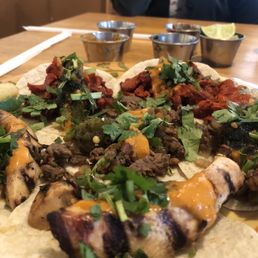 Tacos Al Pastor Tacos de Alambre Tacos de Fajita de Pollo Tacos Al Pastor Tacos de Alambre Tacos de Fajita de Pollo