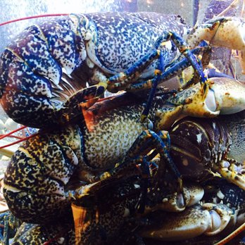 Solar dos Presuntos - Gigantic dog-sized blue lobsters - Seafood Near Me - Lisbon, 11