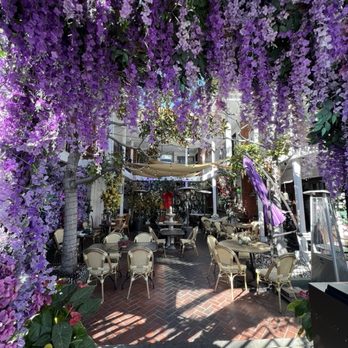 Queen Violet WeHo - Inside under the beautiful wisterias - Chinese Near Me - West Hollywood, California Queen Violet WeHo - Inside under the beautiful wisterias - Chinese Near Me - West Hollywood, California