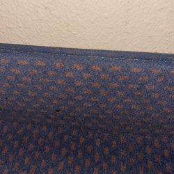 Rodeway Inn & Suites - Bed bug