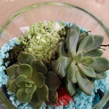 Blumz...by JRDesigns - My terrarium! - Florists Near Me - Ferndale, Michigan