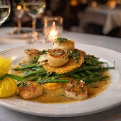 The Davidson - Scallops