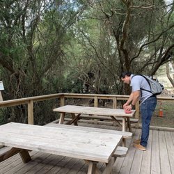 Sabal Palm Sanctuary - Feeding station