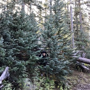 Humphrey's Trail - Can you find my hubby? - Hiking Near Me - Flagstaff, Arizona