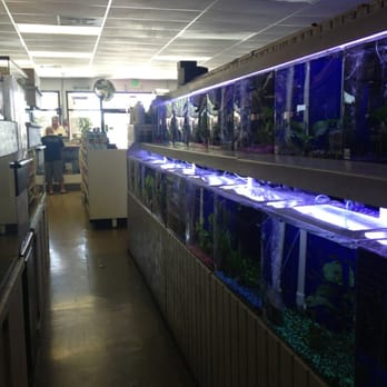Reef Tropical Fish - Local Fish Stores Near Me - Anaheim, California Reef Tropical Fish - Local Fish Stores Near Me - Anaheim, California