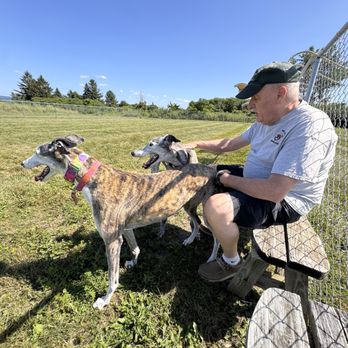 Prejean Winery - Not running in the dog area! - Wineries Near Me - Penn Yan, New York Prejean Winery - Not running in the dog area! - Wineries Near Me - Penn Yan, New York