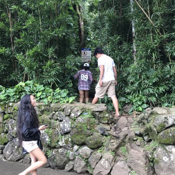 Nu'uanu Pali State Wayside - A hidden part in the back of the parking lots for the buses to what I believe is the path to Pali Puka. - Parks Near Me