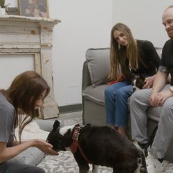 Honor Pet - Our serene Comfort Center is designed for one purpose: to give your goodbye the space, beauty, and presence it
deserves.