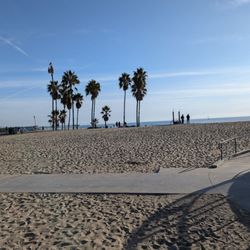 LA in a Day Tours