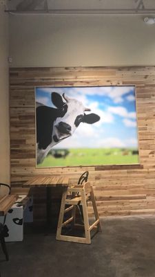 The Screamery by null