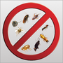 Photo of Manny's Termite & Pest Control