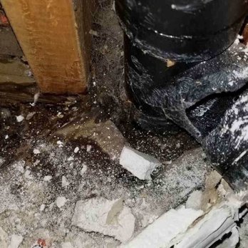 Complete Plumbing & Drain Specialist - Rat chew - Plumbing Near Me