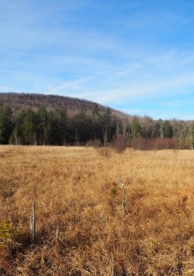 Mountain Top Arboretum by null