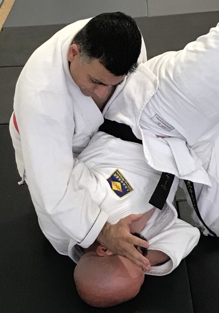 Daito-ryu Aikijujutsu Logo