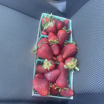 Forneris Farms - More strawberries - Farmers Market Near Me - Mission Hills, California Forneris Farms - More strawberries - Farmers Market Near Me - Mission Hills, California