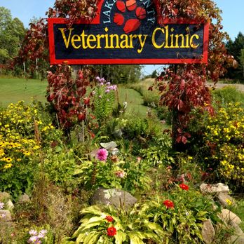 Lake County Veterinary Clinics - Veterinarians Near Me - Two Harbors, Minnesota Lake County Veterinary Clinics - Veterinarians Near Me - Two Harbors, Minnesota