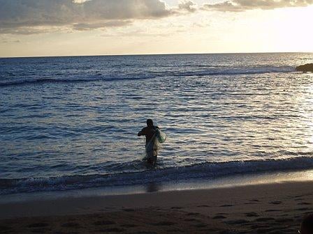 Paradise Cove Luau by null