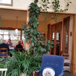 Solstice Farm Bed and Breakfast - In the solarium.