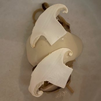 AnnaLena - Spaghettini matsutake, porcini, shitake - Canadian (New) Near Me - Vancouver, British Columbia AnnaLena - Spaghettini matsutake, porcini, shitake - Canadian (New) Near Me - Vancouver, British Columbia