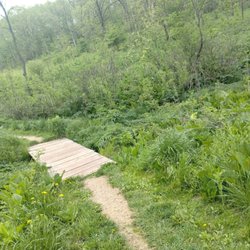 Stewart Lake County Park - Small bridge