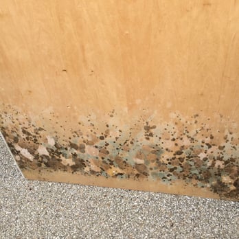 Twin City Self Storage - Mold on my dresser. - Self Storage Near Me - Normal, Illinois