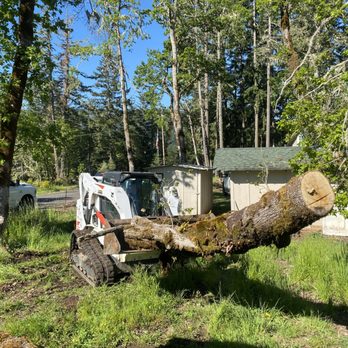 West Excavation - Storm cleanup - Excavation Services Near Me