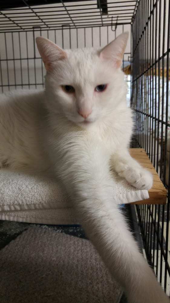 FABIAN BOARDING KENNEL with photos Updated August 2024 111 Photos & 11 Reviews 13720