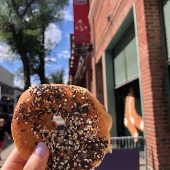 Blackbird Doughnuts - Harvard Square - Everything bagel donut - Donuts Near Me - Cambridge, Massachusetts