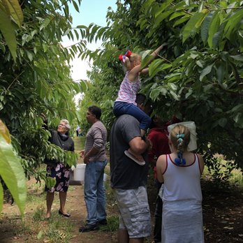 5 Star Cherries - Fruits & Veggies Near Me - Brentwood, California