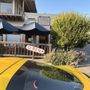 Photo of Carmel Valley Village