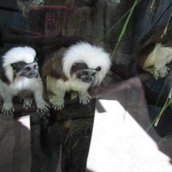 Zoo Miami - Zoos Near Me - Miami, Florida