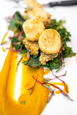 Alchemy Café by null