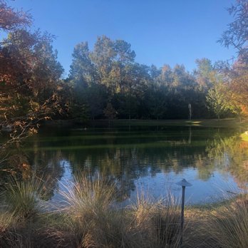 Swamp Head Brewery - Pond - Breweries Near Me - Gainesville, Florida