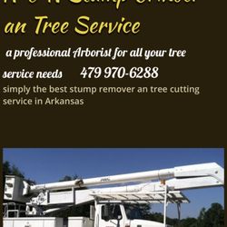 A & N Tree Service & Stump Grinding - .