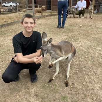Oasis Animal Adventures - I got to feed a kangaroo - Petting Zoos Near Me - Eucha, Oklahoma