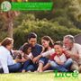 Photo of The Lice Solution