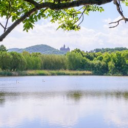 Bürgerpark - Kurtsteich