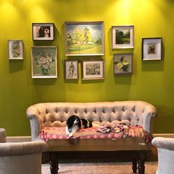 The Green Bean Roasting Company - Dog friendly!