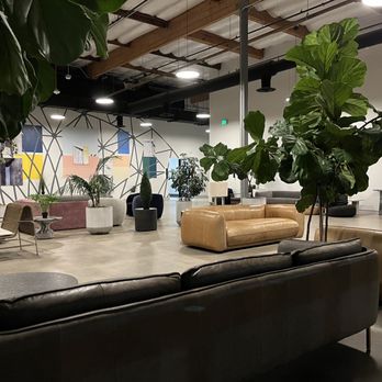 The Parlor - Open area - Pizza Near Me - Tustin, California The Parlor - Open area - Pizza Near Me - Tustin, California