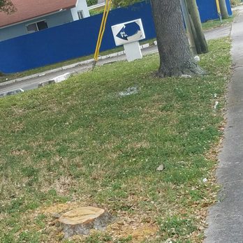 Captain Max - Garbage. All over - Seafood Near Me - Miramar, Florida