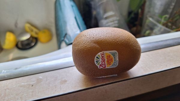 Trader Joe's by null