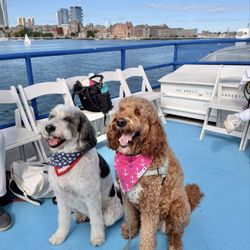 Massachusetts Bay Lines - Reggie and his friend on the special Dig Friendly Cruise