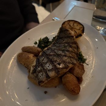 Tavern on the Green - Fish of the day, filet of sea bass - New American Near Me - New York, New York Tavern on the Green - Fish of the day, filet of sea bass - New American Near Me - New York, New York