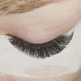 Photo of White Lion Lashes